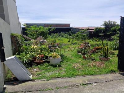 Terreno para Venda, em Itaja, bairro Cordeiros