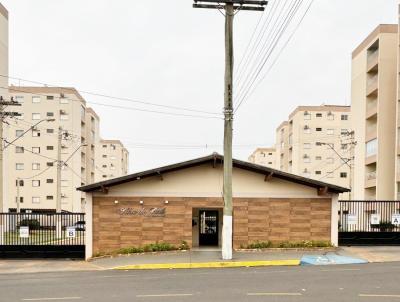 imagem-miniatura