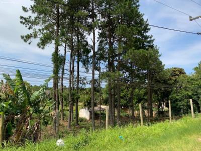 Terreno Comercial para Venda, em Torres, bairro Engenho Velho