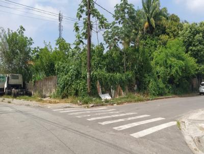 Terreno para Venda, em , bairro Jardim Rio Branco