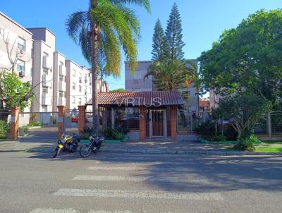 imagem-miniatura