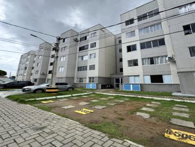 imagem-miniatura