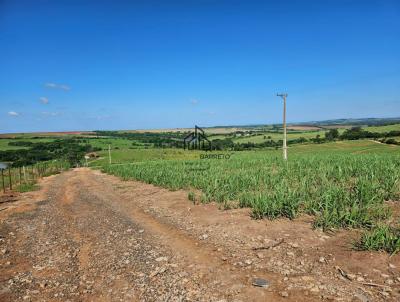 Stio para Venda, em Monte Mor, bairro Chapado