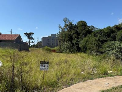 Terreno para Venda, em Guarapuava, bairro Industrial