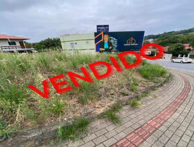 Terreno para Venda, em Presidente Getlio, bairro Centro
