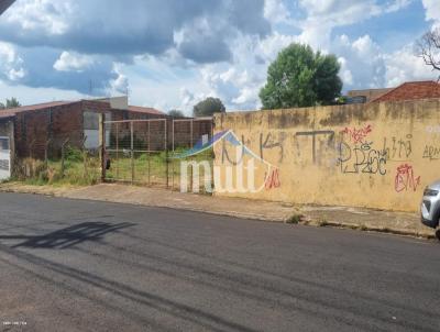 Terreno Comercial para Venda, em Bauru, bairro Vila Independncia