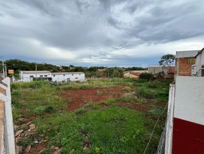 Terreno para Venda, em Jata, bairro VILA SOFIA