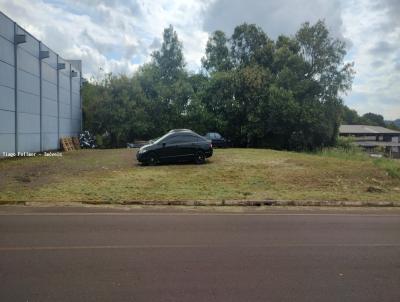 Terreno para Venda, em Paverama, bairro Centro