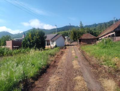 Casa para Venda, em Paverama, bairro Estrada Morro Azul, 3 dormitrios, 1 banheiro, 2 vagas