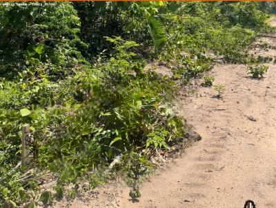 Terreno para Venda, em Belterra, bairro CENTRO