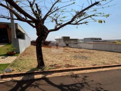 Terreno para Venda, em Ribeiro Preto, bairro Distrito Bonfim Paulista