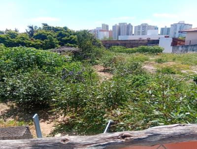 Terreno para Venda, em Campinas, bairro Jardim Nova Europa