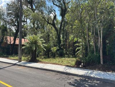 Terreno para Venda, em , bairro rea Rural de Canela