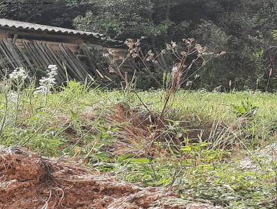 Terreno para Venda, em Cerro Grande do Sul, bairro centro