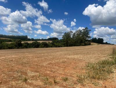 Terra para Venda, em Bom Jesus da Penha, bairro Aclimao