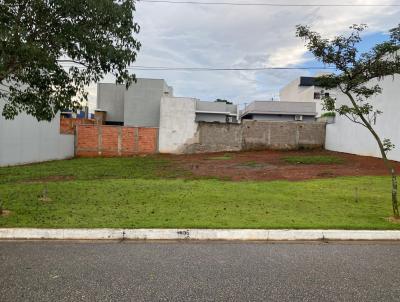 imagem-miniatura