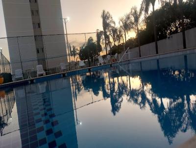 Apartamento para Venda, em Indaiatuba, bairro Vila Brizzola, 3 dormitrios, 2 banheiros, 1 sute, 1 vaga