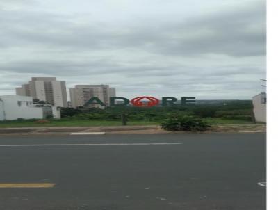 imagem-miniatura