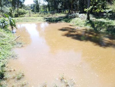 Chcara para Venda, em Prudentpolis, bairro linha IVAI