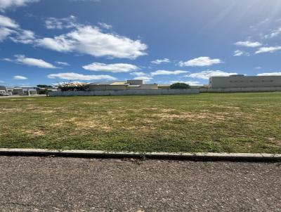 Terreno para Venda, em Mossor, bairro Rinco