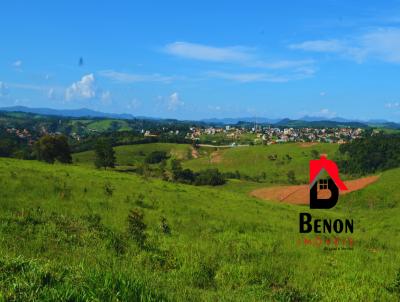 Chcara para Venda, em Bonfim, bairro Zona Rural