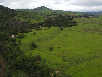 Fazenda para Venda, em Mathias Lobato, bairro 15km da BR - 116