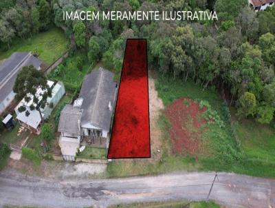 Terreno para Venda, em Balsa Nova, bairro So Caetano