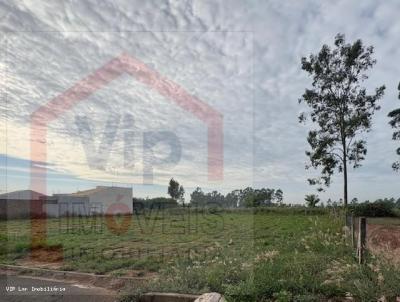 Terreno para Venda, em Pindorama, bairro Alto Pindorama