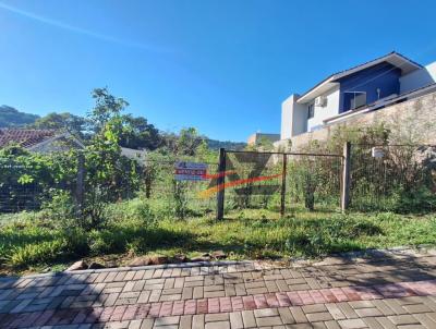 Terreno para Venda, em Francisco Beltro, bairro So Cristvo