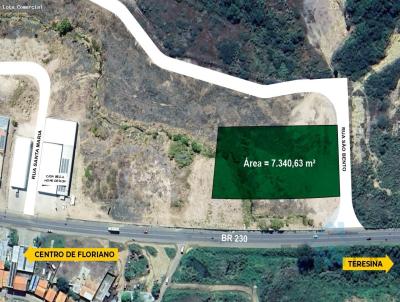 rea para Venda, em Floriano, bairro BOM LUGAR