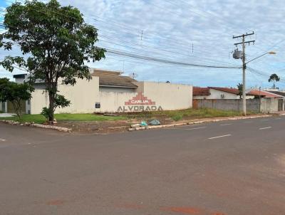 imagem-miniatura