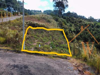 Terreno para Venda, em Tupandi, bairro Centro