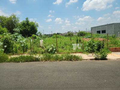 Terreno para Venda, em So Jos do Rio Preto, bairro Jardim Caparroz