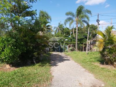 Chácara para Venda, em Piracicaba, bairro Tupi, 3 dormitórios, 1 banheiro, 3 vagas