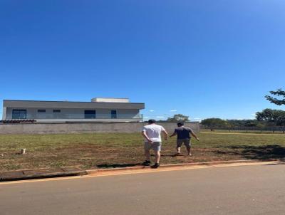 Lote para Venda, em , bairro gua Branca