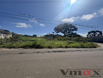 imagem-miniatura