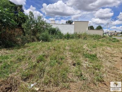 Lote para Venda, em Aparecida de Goinia, bairro Independncia - 2 Complemento