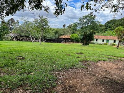 Fazenda para Venda, em Felixlndia, bairro aguas nascentes, 3 dormitrios, 1 banheiro