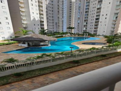 imagem-miniatura