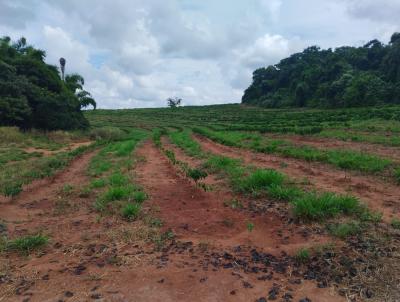 Stio para Venda, em Cssia dos Coqueiros, bairro RURAL