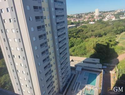 imagem-miniatura