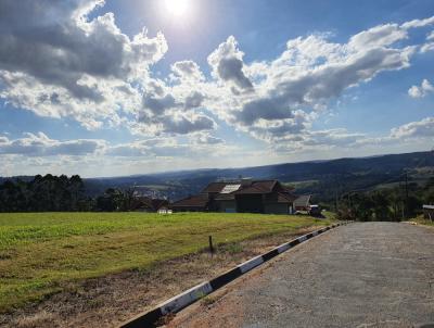 Terreno para Venda, em , bairro Paruru