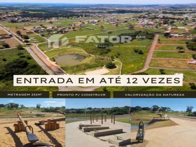 imagem-miniatura