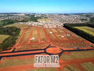 imagem-miniatura