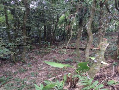 Terreno para Venda, em Ribeiro Pires, bairro Somma