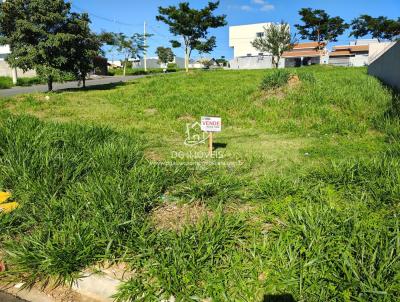 Terreno para Venda, em Jaguarina, bairro Corao de Jesus