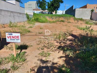 Terreno para Venda, em Jaguarina, bairro Corao de Jesus