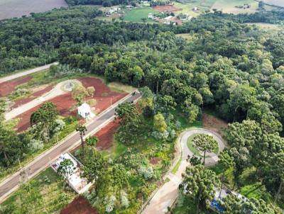 Terreno para Venda, em Chapec, bairro gua Santa