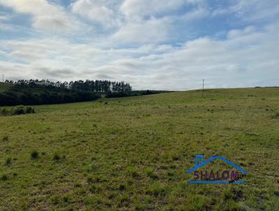 rea Rural para Venda, em Santa Margarida do Sul, bairro Rural