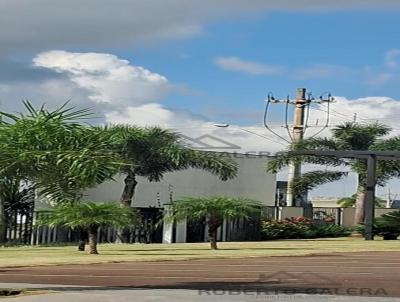Terreno para Venda, em Leme, bairro Jardim Nova Leme